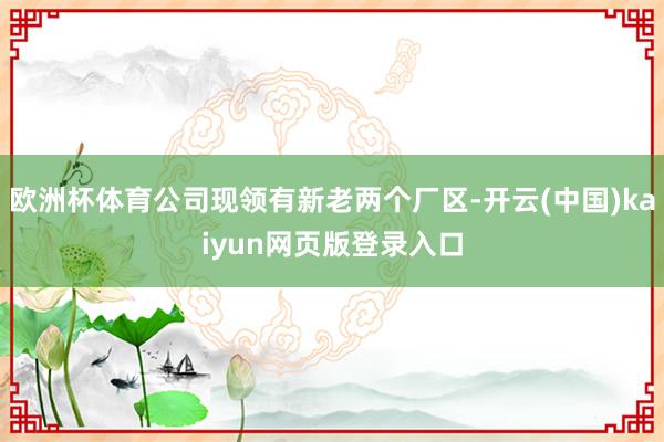 欧洲杯体育公司现领有新老两个厂区-开云(中国)kaiyun网页版登录入口
