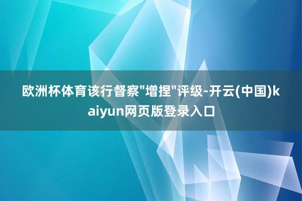 欧洲杯体育该行督察"增捏"评级-开云(中国)kaiyun网页版登录入口